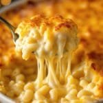creamy homestyle mac and cheese